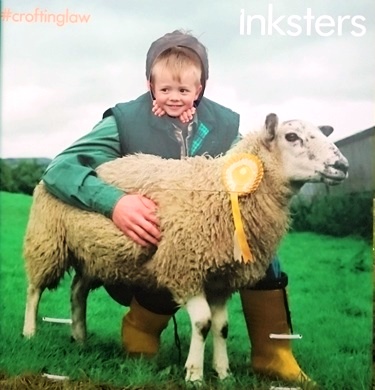 Caithness County Show - Inksters - Croting Law - Inky the Sheep